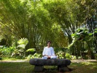3 Days Yoga Retreat in Central Java, Indonesia