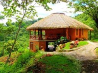 8 Days Ultimate Wellness Yoga Retreat in Costa Rica