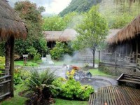 12 Days Nature Adventure and Yoga Retreat in Ecuador