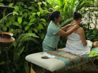 8 Days Health and Yoga Retreat in Koh Samui, Thailand