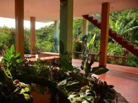 14 Days Ayahuasca & Yoga Retreat in the Amazon, Peru