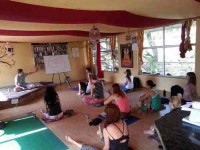 21 Days Health and Wellness Retreat in Dharamsala