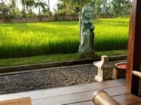 6 Days Active Yoga Retreats in Bali