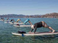 7 Days Stand Up Paddle Board Yoga Retreat in Mexico