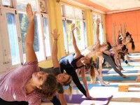 5 Days Yoga Intensive Workshop for Beginners in Himalayas, India