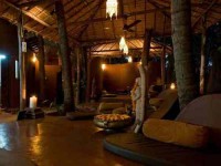 14 Days Basti Yoga Detox Retreat in Goa, India
