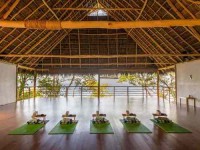 7 Days Yoga Retreat in Mexico