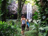 7 Day Women Wellness Yoga Retreat in Hawaii