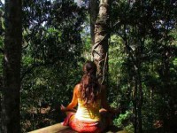 8 Days Chirripó Mountain Yoga Adventure in Costa Rica