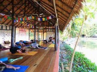 7 Days Healthy Living Yoga Retreat in Koh Phangan
