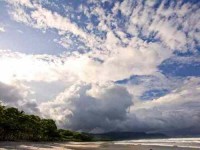 8 Days Yoga at the Beach Retreat in Costa Rica