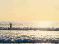 6 Days in Paradise - South African Surf & Yoga Retreat