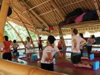 8 Days Yoga and Surf Retreat in Sanur, Bali
