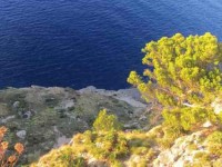 8 Days Summer Yoga Retreat in Mallorca