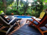 8 Days Jungle & Beach Yoga Adventure in Costa Rica