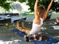 8 Days Trekking, Meditation and Yoga Retreat India