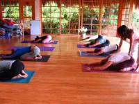 29 Days Yoga Teacher Training Costa Rica