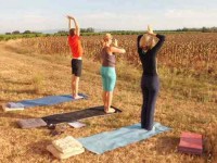 6 Days Yoga and Nature Retreat in Provence, France