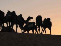 12 дней Йога Retreat в пустыне Сахара и Марракеш
