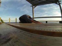 7 Days Odyssey Yoga Retreat in Italy