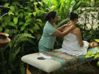 7 Days Thailand Yoga Retreat and Wellness