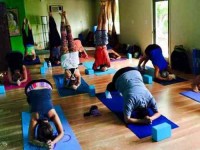 19 Days 200-Hour Yoga Teacher Training in Canada