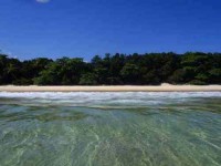 6 Days Island Beach House Yoga Retreat in Brazil