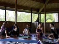 3 Days Coco Cleanse & Yoga Retreat in Costa Rica