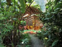 3 Days Coco Cleanse & Yoga Retreat in Costa Rica