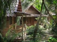 8 Days Surf and Savasana Yoga Retreat in Costa Rica