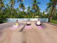 8 Days Yoga and Ayurveda Retreat in Kerala, India