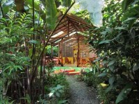 8 Days Yoga and Detox Retreat in Costa Rica