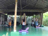 15 Days Weight Loss, Detox and Yoga Retreat in Thailand