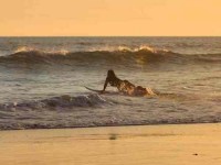 6 Days Surf and Yoga Retreat Bali