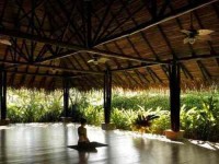 22 Days 200-Hour Yoga Teacher Training in Costa Rica