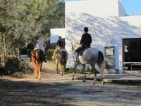 6 Days Ayurveda, Horseriding and Yoga Retreat Ibiza