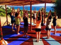 8 Days Forrest Yoga Retreat in Greece