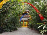 8 Days Kundalini Yoga Retreat in Costa Rica
