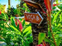 7 Days Sansara’s Signature Yoga Retreat in Panama