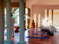 15 Days Ayurvedic Rejuvenation Retreat in India