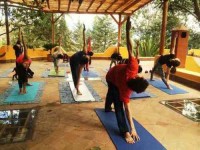 20 Days 200 Hours Yoga Teacher Training in Germany