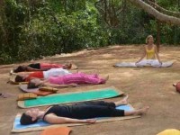 14 Days Align and Flow Yoga Retreat in Sri Lanka