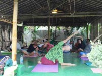 8 Days Inner Beauty Detox and Yoga Retreat in Thailand