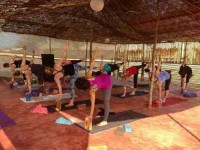 8 Days Vinyasa Flow Beach Yoga Retreat in Goa