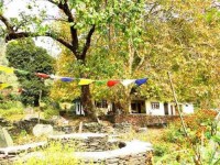 8 Days Outdoor Himalayas Yoga Retreat India
