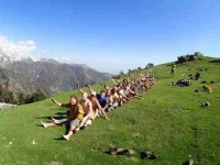 7 Days Beginner Yoga Retreat in Dharamsala, India