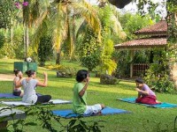 8 Days Yoga and Ayurveda Retreat in Sri Lanka