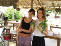 8 Days Soul Nourishing Detox and Yoga Retreat in Thailand