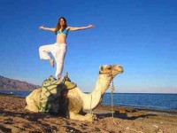8 Days Yoga and Diving Advanced Course in Dahab