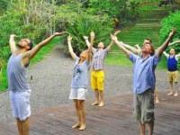 8 Days Ayahuasca, Meditation and Yoga Retreat in Brazil